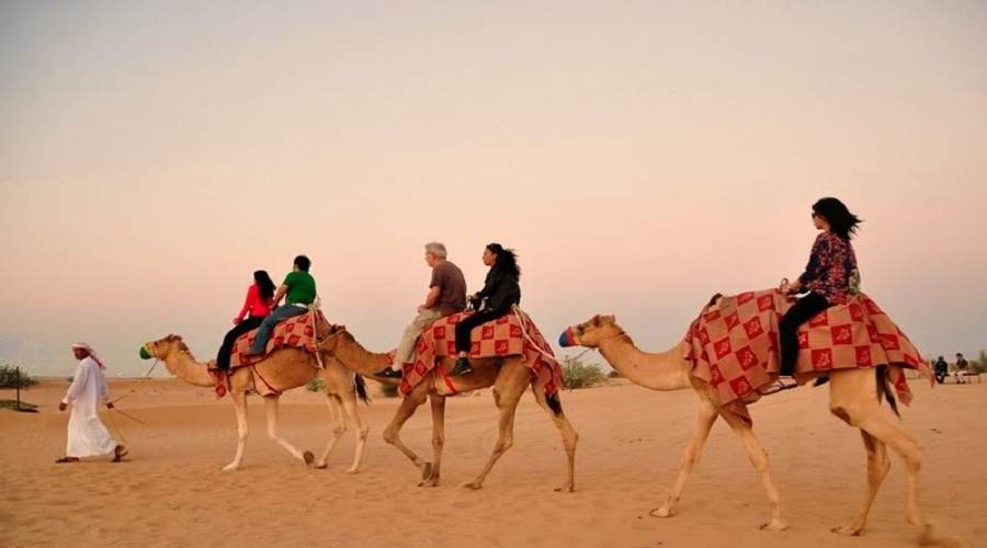 desert safari online deals, bookings, cheap prices, sharjah