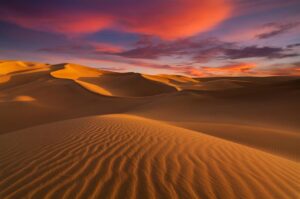Unexplored Desert Territories