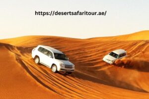 arabian nights desert safari